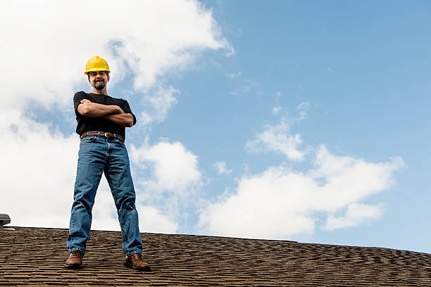 Best Roof Gutter Cleaning  in Hitchcock, TX